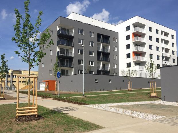Tulipa City - stěhování začíná Tulipa City - stěhování začíná