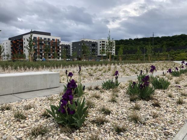 AFI Europe dokončila veřejný park v multifunkčním projektu AFI City AFI Europe dokončila veřejný park v multifunkčním projektu AFI City